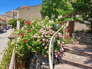 Property grounds - The Garden (Calvello)