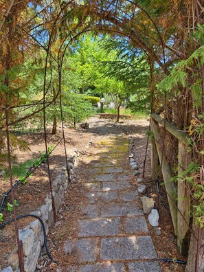 A stone pathway leading through a garden with a wooden fence on one side and trees on the other.