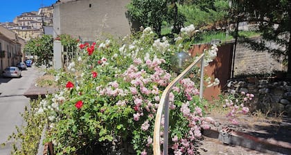 The Garden