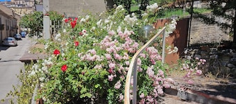The Garden