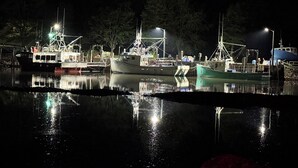 A nighttime marina with several boats docked, reflecting on calm water, surrounded by trees. - Tide’s Edge Escape: Cozy 2-Bed Cottage/Camper with Sea Views  (Orange Hill)