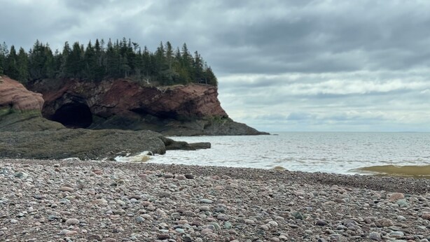 A rocky shoreline with a cave entrance, dense forest, and a cloudy sky. - Tide’s Edge Escape: Cozy 2-Bed Cottage/Camper with Sea Views  (Orange Hill)