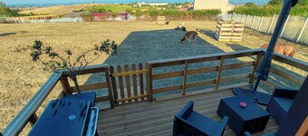 Tiny House en Immersion a la Ferme