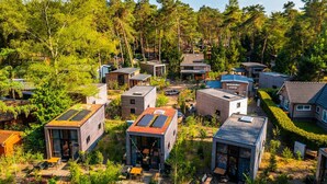 Un conjunto de casas modernas y compactas con techos planos, rodeadas de abundante vegetación y árboles.