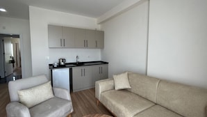 Una sala de estar moderna con un sofá y un sillón, una pequeña cocina y una mesa de centro de madera.