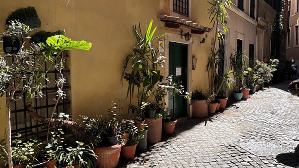 A cobblestone street lined with potted plants and a building with a green door. - Lola's House (Roma)