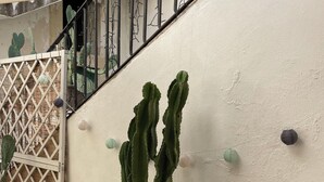 A cactus in a pot against a wall with a metal gate and a staircase.