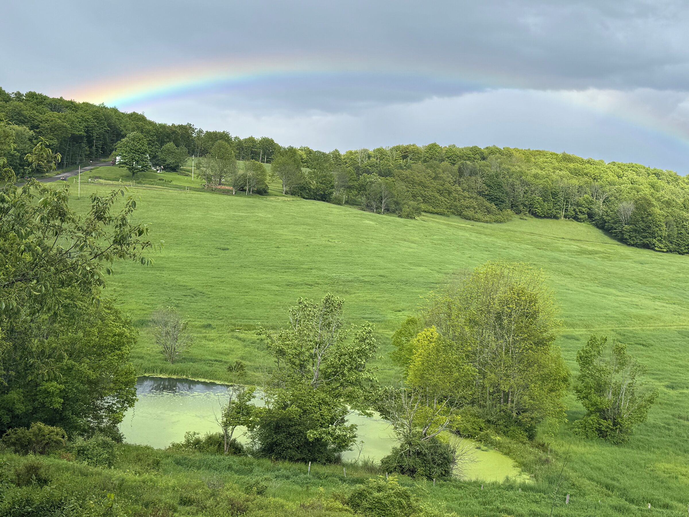Un campo verde exuberante con un pequeño estanque y un arcoíris en el cielo.