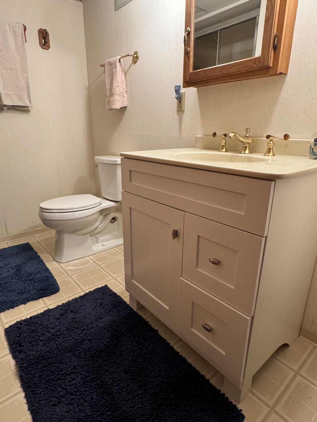 Une salle de bain avec des toilettes, un lavabo surmonté d’un miroir et deux tapis bleu foncé sur le sol.