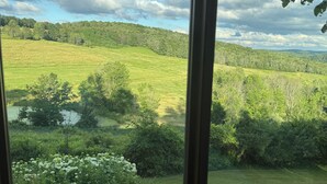 Vista a través de una ventana mostrando un paisaje verde con colinas, árboles y una masa de agua.