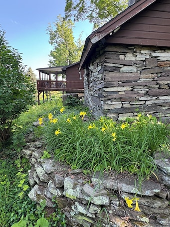 Property grounds. Hilltop, relax and enjoy nature's aviary atop the Endless Mountains.
