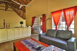 TV, DVD player, ping pong, books