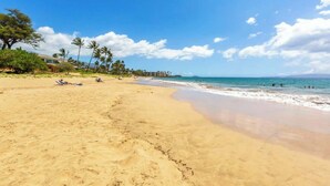 Una playa arenosa con huellas, palmeras y un cielo azul despejado.