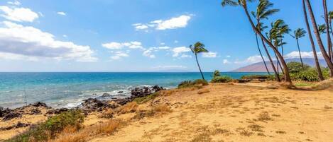 A beach with clear skies, ocean, and palm trees.