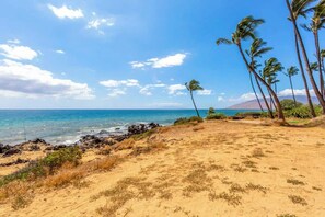 A beach with clear skies, ocean, and palm trees.