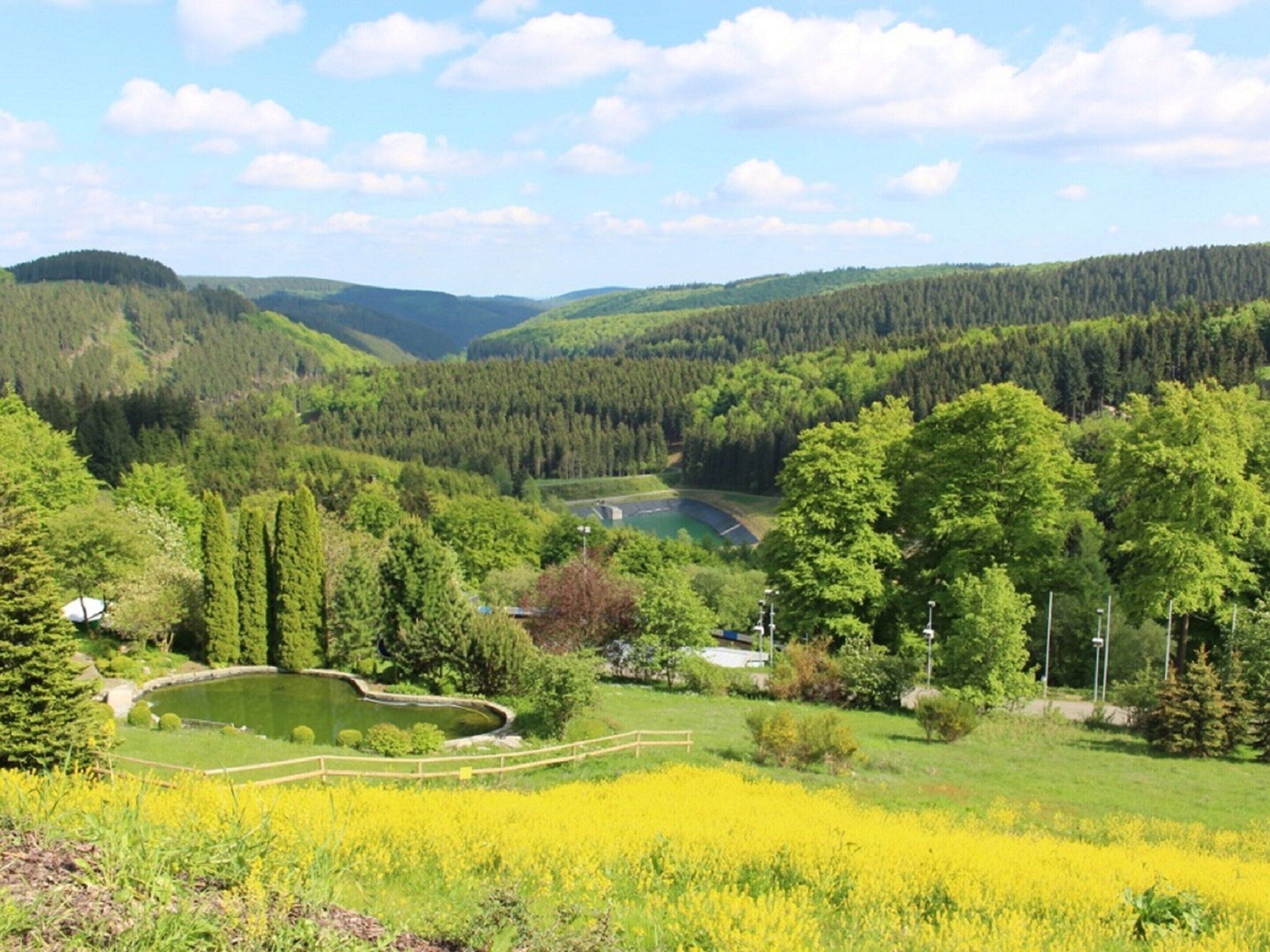 A scenic landscape with a lake, forested hills, and a field of yellow flowers.