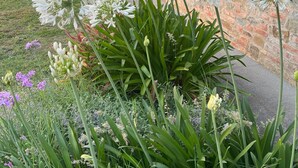 Un jardin où l’on trouve différentes sortes de fleurs et un bâtiment en pierre doté d’une entrée en arc de cercle.