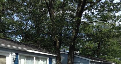 Wasaga Beach Walk to Main Beach Free Parking Free Wi-Fi