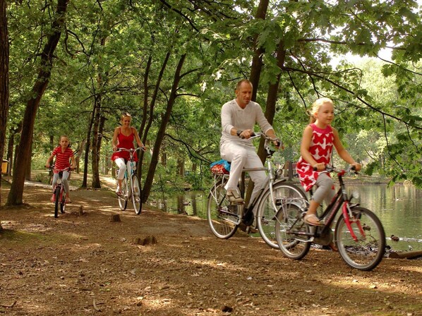 Un groupe de personnes fait du vélo sur un chemin de terre, entouré d’arbres et bordé par une étendue d’eau.
