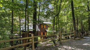 A wooden cabin surrounded by a forest with a gravel path leading to it.