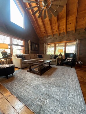 TV connectée, cheminée, lecteur de DVD, livres