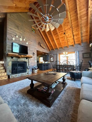 TV connectée, cheminée, lecteur de DVD, livres