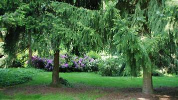 Vila | Pemandangan dari properti