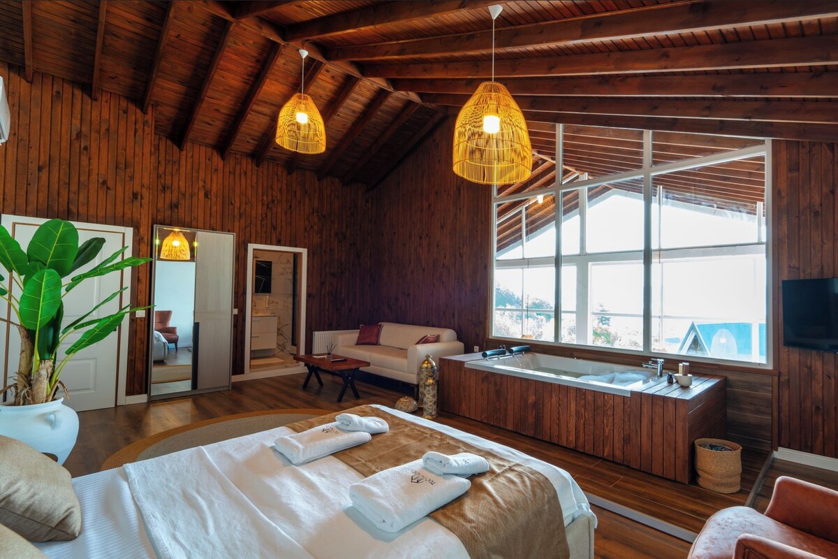 A wooden room with a bed, a sofa, a large window, a bathtub, and a TV.