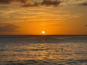 A sunset over a calm sea with a clear horizon. - Elegant Poolside Apartment, Large Covered Terrace- Walk to Beach, West Coast (Weston St James)