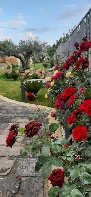 Property grounds - Al Chiaro di Luna (Agerola)
