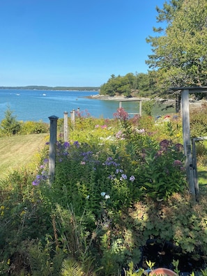 Property grounds - Oceanfront home 5 minutes to Acadia, 10 mins. to downtown Bar Harbor. (Bar Harbor)