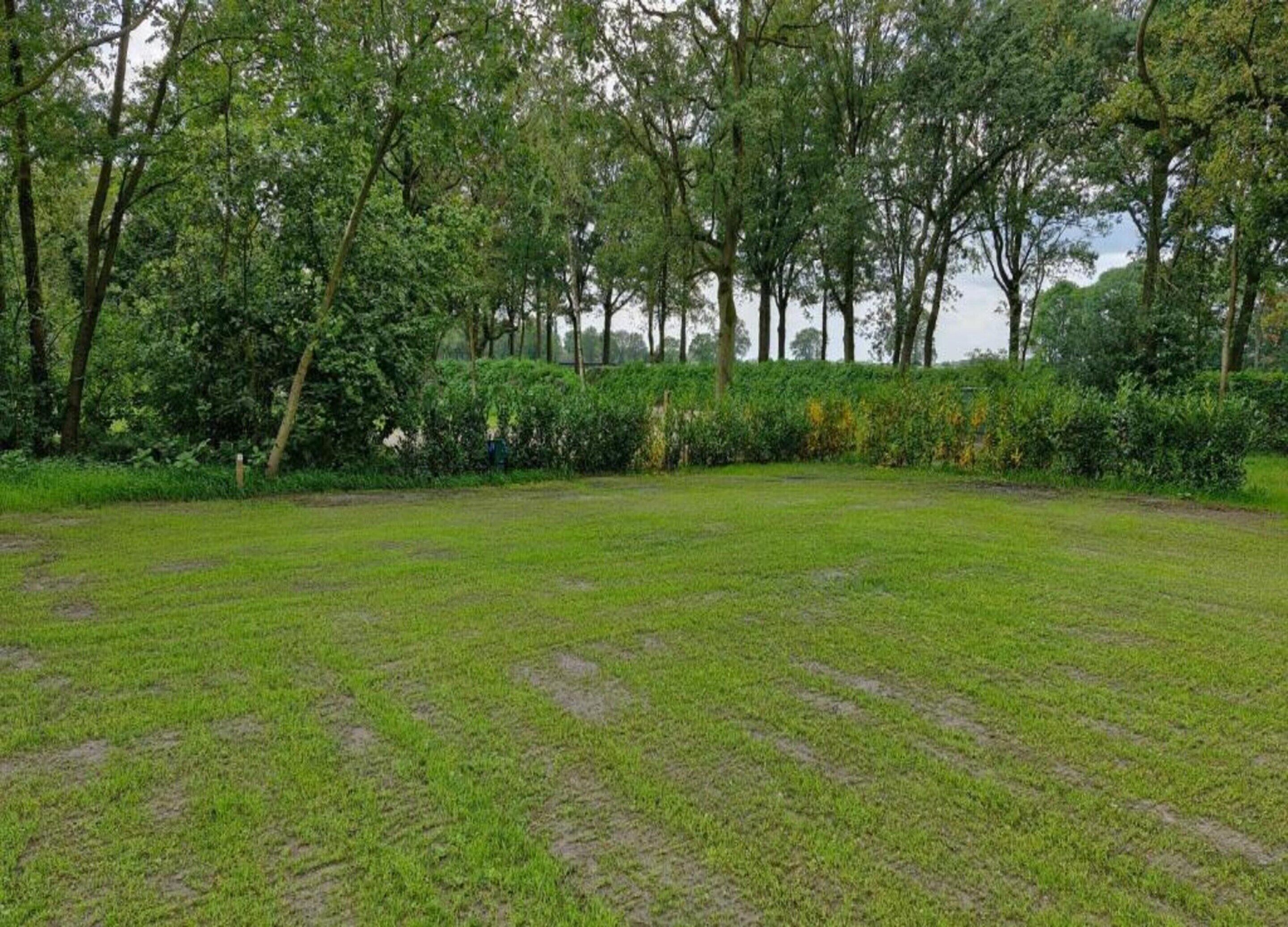 A grassy field with trees and bushes in the background.