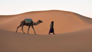Un camello con montura y una persona guiándolo sobre una duna de arena.