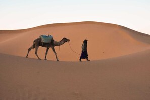 Exterior - Bivouac les nomades foum zguid (Foum Zguid)
