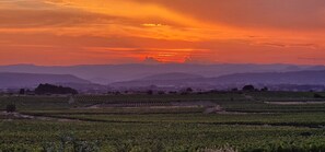 Property grounds - Villa de Luxe Entre Montagne et mer (Saint-Bauzille-de-la-Sylve)