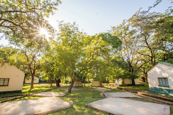 Jardin