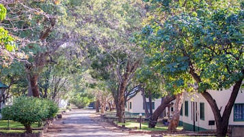 Jardín