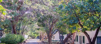 Rest Camp Victoria Falls