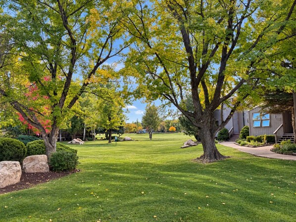 A well-maintained lawn with mature trees and a building with a visible address.