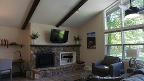 TV, fireplace, books