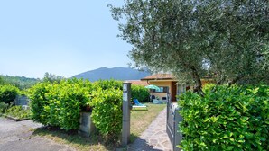 A paved pathway leading to a building with a tiled roof, surrounded by lush green bushes and an olive tree.