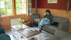 A cozy room with a sofa, a table with magazines, a fireplace, and a window with curtains. - Cozy Chalet With a Decorative Fireplace (Ruinen)
