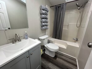 Hair dryer, towels, shampoo, toilet paper