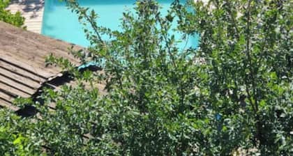 Apartment 'Mas La Rainette Chez Raphael' with Mountain View, Shared Pool and Wi-Fi