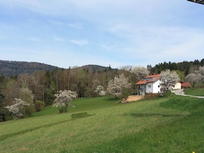 Jardines del alojamiento