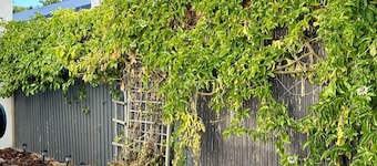 Cozy cottage with 1 bedroom and WiFi, AC in beautiful Cape Town
