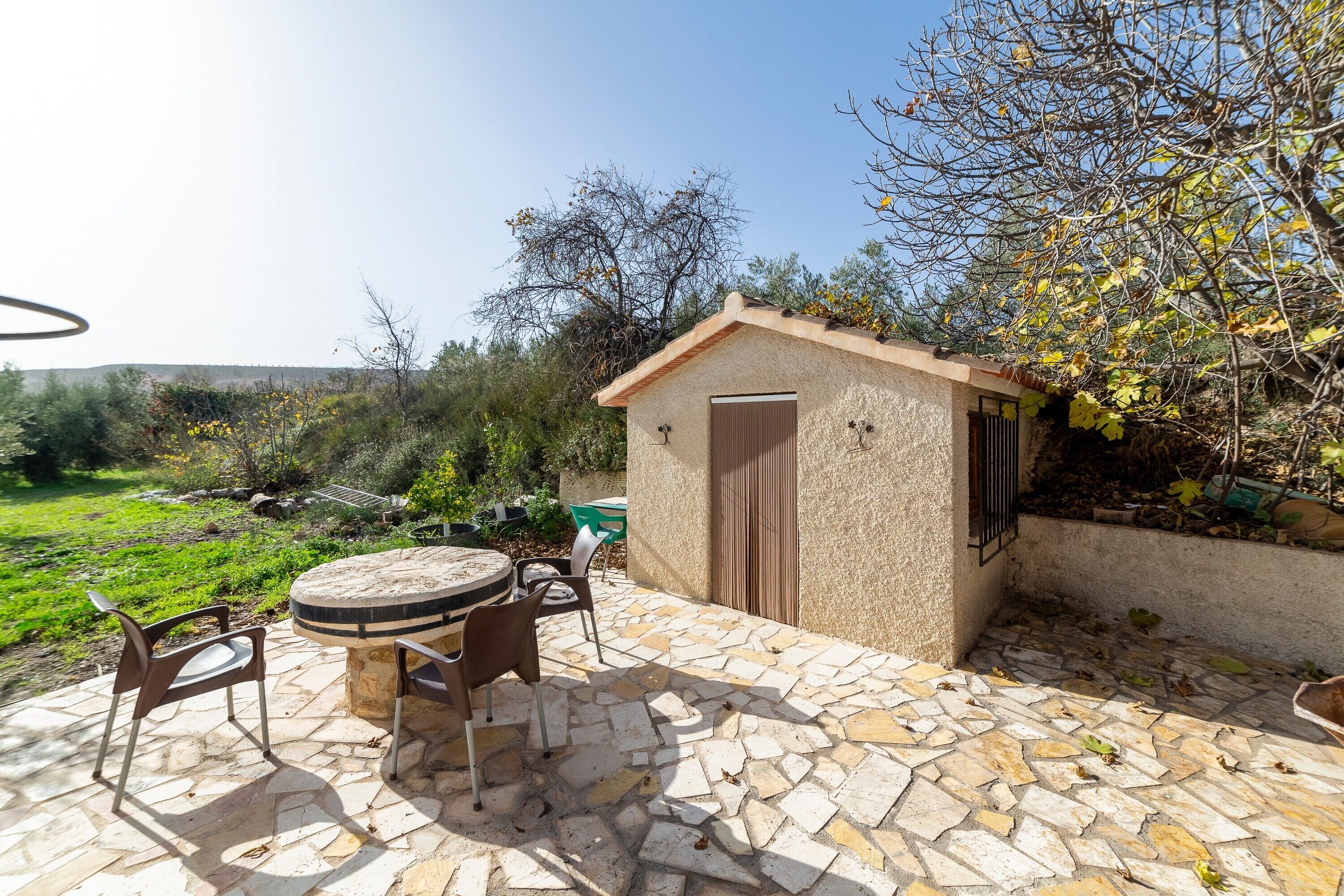 Un patio in pietra con tavolo e sedie, un piccolo deposito e un giardino con alberi ed erba.