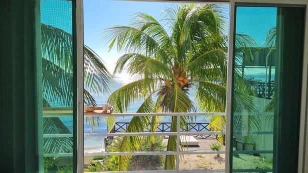Varanda com vista para uma palmeira e uma praia.