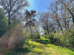 Unclassified image, 3 of 13, button - UK47384 - The Rabbit Warren (Easington, Near Staithes)