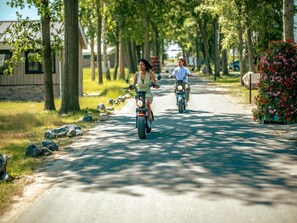 A paved road lined with trees and a flower bed on the right.